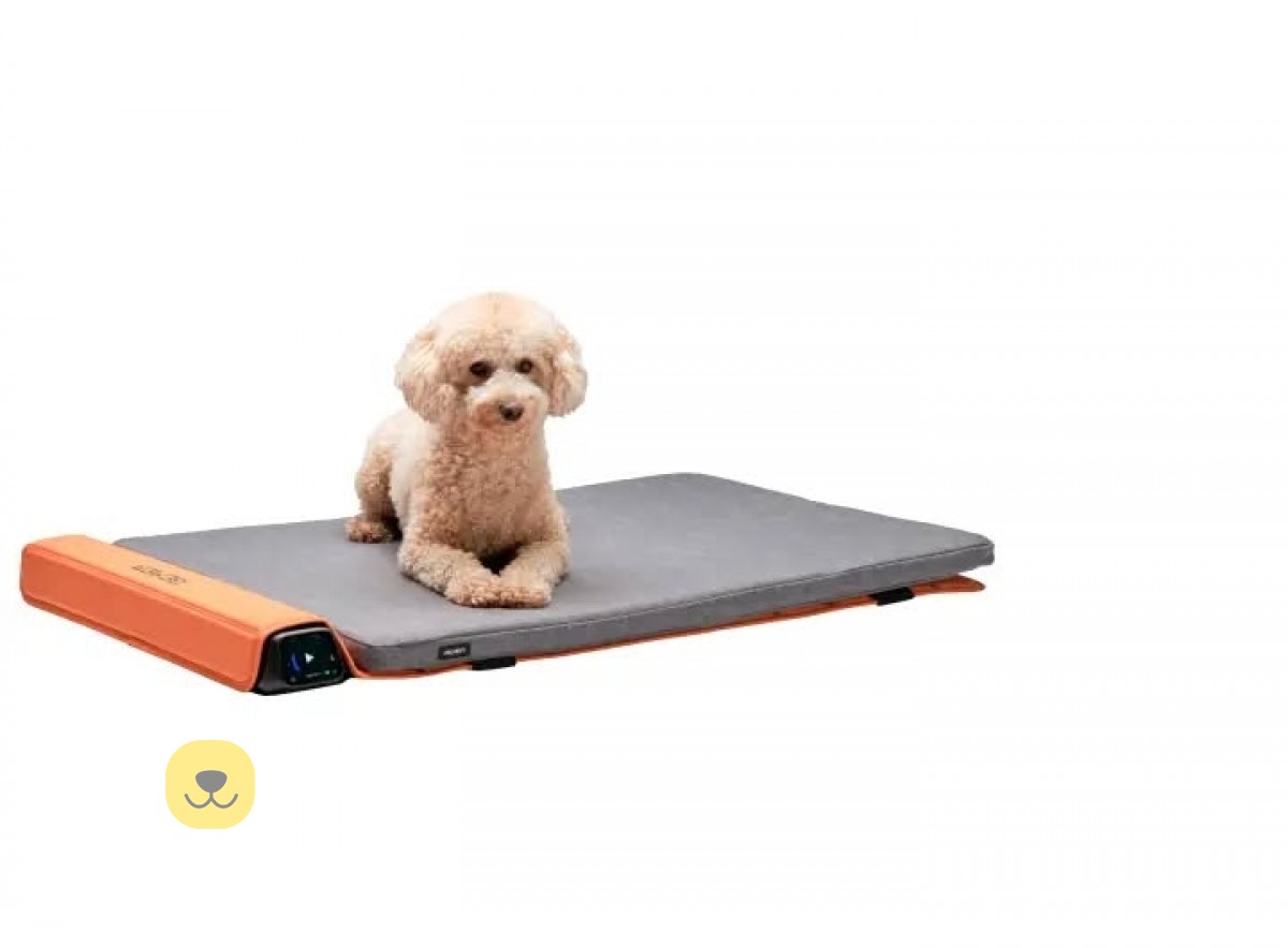 BEMER Dog Line BEMER Dog Line